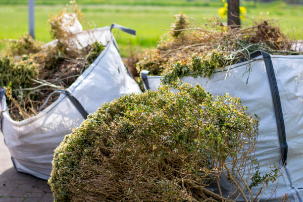Professional Junk Removal in Buckhead Ridge, FL